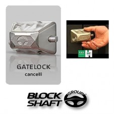 Gatelock CANCELLI - Lacat Profesional cu Piston